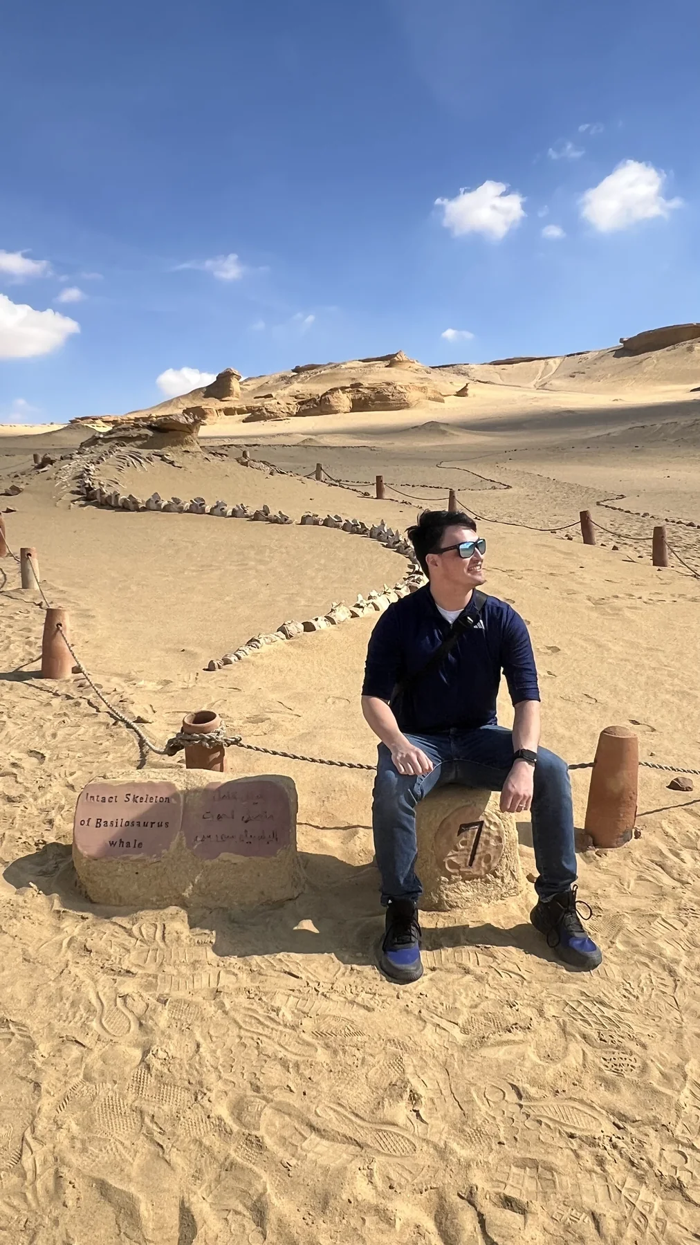 Traveler beside a whale fossil on the Wadi El Hitan desert trail