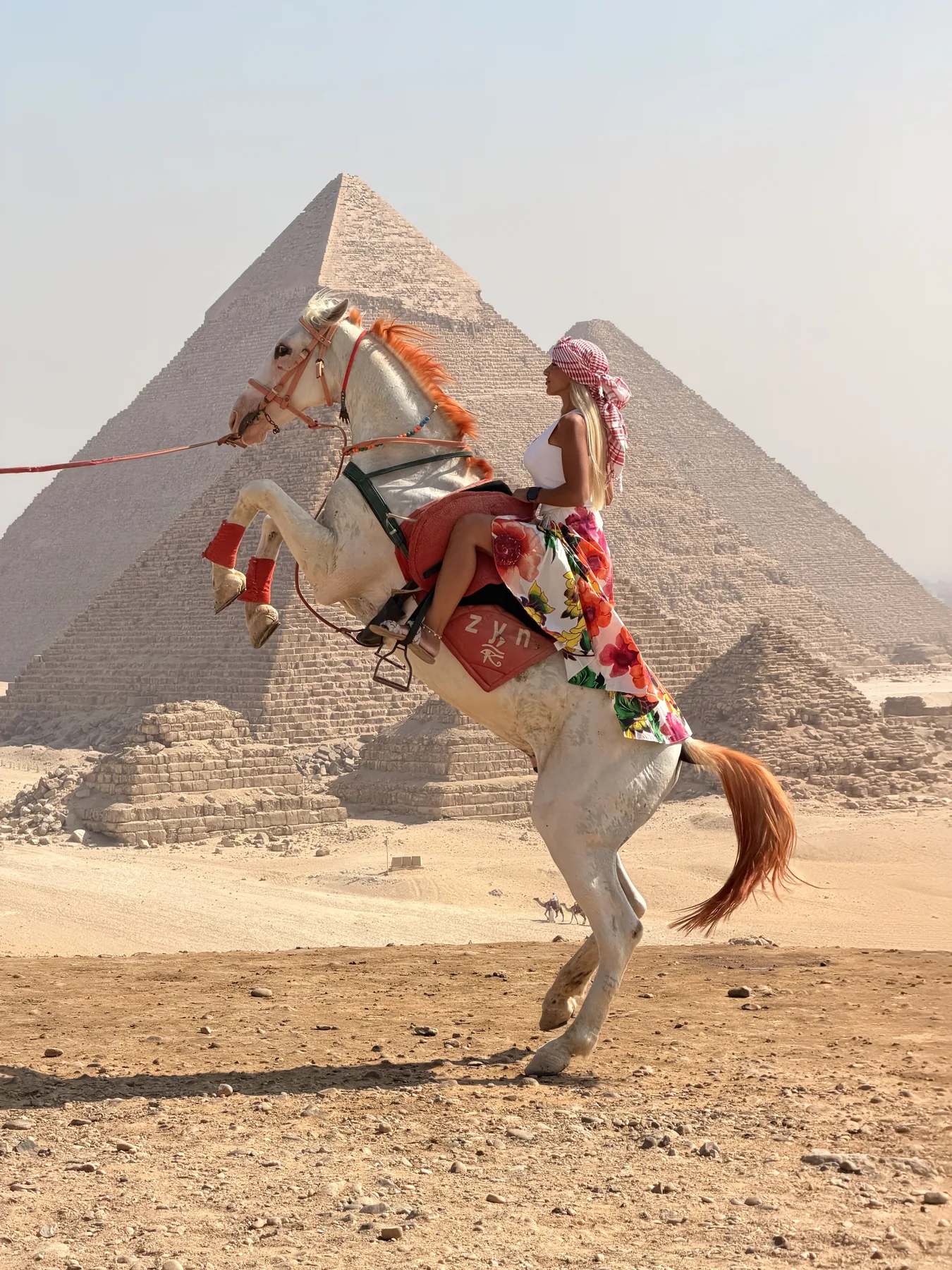 Visitor riding a horse beside the Giza Pyramids
